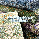 V&A William Morris@Blackthorn@V[`OiP50cmj/Rbg/n/vg/ECAX/William Morris/X/ubN\[//t[/ԕ/A