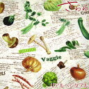 シーチング デジタルプリント さららJAPANリアルベジタブル(単位50cm)野菜/植物/英字/綿/生地