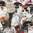 シーチング デジタルプリント さららJAPAN猫美人（単位50cm）化け猫/怪談/ねこ/綿/生地/よさこい祭り/よさこいソーラン/よさこい祭り/衣装/衣裳/マスク