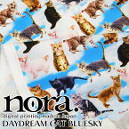 nora. digital printing madein Japan シーチング　デジタルプリント　DAYDREAM CAT BLUESKY（単位50cm）猫/ねこ/ネコ/キャット/CAT/空/青空/ノラ/モエランスタジオ/コットン/綿/生地/プリント