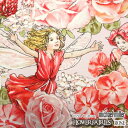 USA Cotton マイケルミラー 花と妖精 Flower FAIRIES ROSE（単位50cm）michael miller/アメリカンファブリック/生地