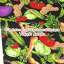 USA Cotton Loralie Harris for Loralie Designs Veggie Jungle(単位50cm)ローラライハリス/ロラライハリス/ロラリー/USAコットン/アメリカンファブリック/アメリカ/綿/コットン/生地/野菜/ベジタブル/トマト/ニンジン/ナス/ジャガイモ/トウモロコシ