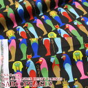 USAコットン THE ALEXANDER HENRY FABRICS SARCOPHAGUS(単位10cm)アレキサンダーヘンリー/アメリカンファブリック/生地/綿/コットン/シーチング/石棺/アヌビス/ホルス/トト/ファラオ/古代エジプト/神話/サルコファクス/古代ギリシャ