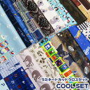 ラミネートカットクロスセット COOL SET(1セット)お得/お買い得/生地/福袋/撥水加工/ビニールコーティング/男の子