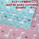 LeBOȖLoX puti de pome everydayGiraffe -L-(P50cm)/L//w/ʉʊw/XN[ObY/n/Rbgl/Lg