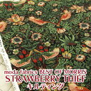 moda fabrics BEST OF MORRIS STRAWBERRY THIEF@LeBOiP50cmjxXgIuXRNV/ECAX/William Morris/_t@ubNX/X/t[//{^jJ/A/D_/C`SD_//vg//Rbg/n/Lg