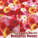 撥水加工広巾ナイロン風オックス Beautiful flower(単位50cm)フラワー/花/リアルプリント/生地/カバン/エコバッグ/小物