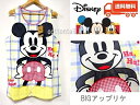 ディズニー　エプロン Disney ミッキー＆ミニー(BIGアップリケ) 上質アップリケ 可愛い キャラクター 保育士エプロン 大人 保育士 誕生日 母の日 女性 彼女 ママ プレゼント 送料無料 保育園 託児所 看護師 幼稚園 大人用エプロン上質 洗濯に強い