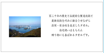 タオル フェイスタオル 今治タオル 同色 4枚セット 国産 シンプルボーダー 日本製 4枚組 ボーダー シンプル 薄手 高級 吸水力 やわらか 高品質 毎日使い デイリー バーゲン セール