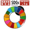 SDGs ピンバッジ 【国連本部限定】 1個 公式 国連 ショップ限定 正規品 SDGsバッジ 丸み サステナブル 17 目標 日本未発売 バッチ バッヂ sdgs