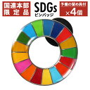 【楽天1位】 【国連本部限定】SDGs ピンバッジ 4個 公式 国連 ショップ限定 正規品 SDGsバッジ 丸み サステナブル 17 目標 日本未発売 バッチ バッヂ sdgs