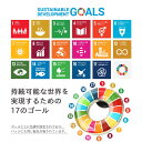 【楽天1位】 SDGs ピンバッジ 1個 国連本部公式最新仕様 25mm 20mm 小さめ SDGsバッジ 丸み サステナブル 17 目標 バッチ バッヂ sdgs 3
