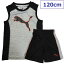  PUMA ס Ҷ 岼 ȥ졼˥󥰥 åȥå 㡼 5 6 120cmڥꥫվʡ