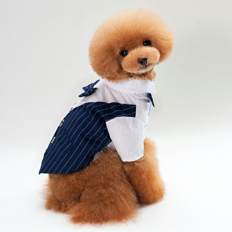 楽天coucou-DOMA犬服タキシード ジャケット ウエディング 礼服 ネクタイ 蝶ネクタイ 結婚式 フォーマル リングドッグ 前開き 男の子 コスプレ 記念日 お祝い 前撮り 柴