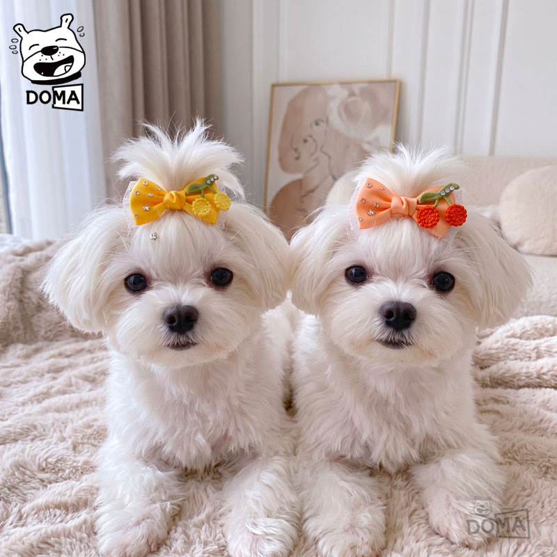 犬用 ヘアピン リボン チェリー 【選べる プラバレッタ / ワンタッチピン】 さくら...