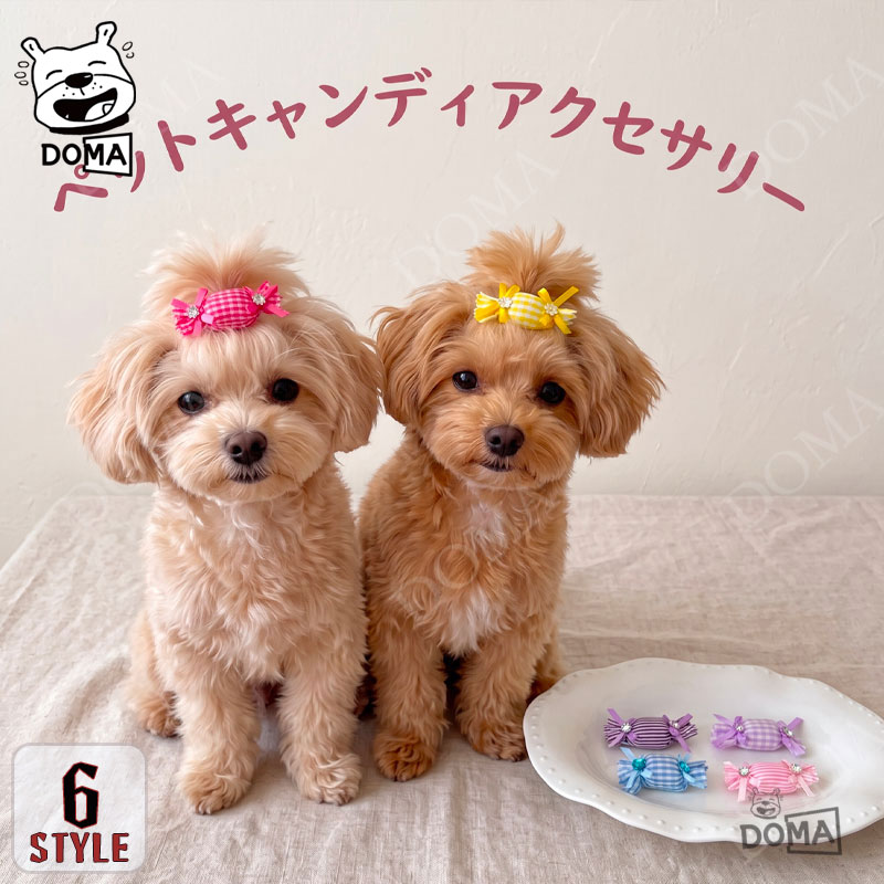 楽天市場】キラキラ ヘアピン（ペット・ペットグッズ）の通販