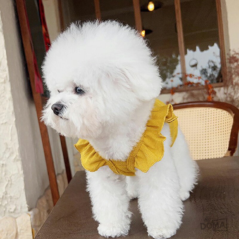 ������ ������ ǭ�� ���ԡ��� �ä��� �Ҹ� ������ �淿�� �ڥå��� �ɥå������� �ڥåȥ����� ������ ���Ф��� XS��XL�б� ���󥹥��Ǥ�