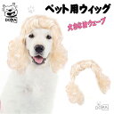 かわいいペットウィッグ(犬用・猫用)で、愛犬・愛猫をもっと魅力的に!