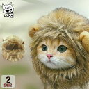 かわいいペットウィッグ(犬用・猫用)で、愛犬・愛猫をもっと魅力的に!