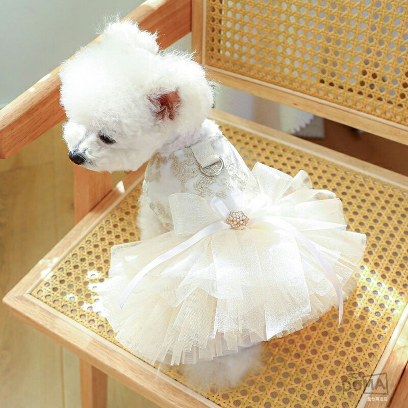 thum2