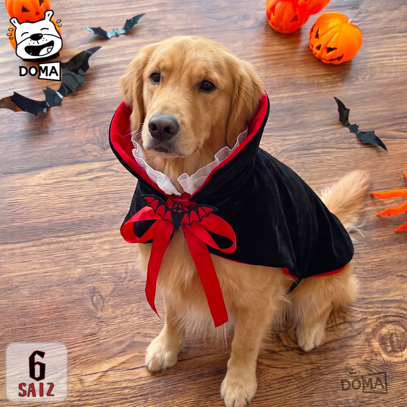 楽天市場】ハロウィン 犬 リボンの通販