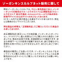 couleur-labo:10000607のサンプル画像2