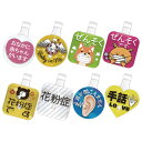 PICPIN(ピックピン) もっと伝えるシリーズ (ダーツ アクセサリ)
