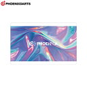 PHOENIX(フェニックス) PHOENicA CARD(フェニカカード) P2025022 (ダーツアクセサリ フェニックスカード)