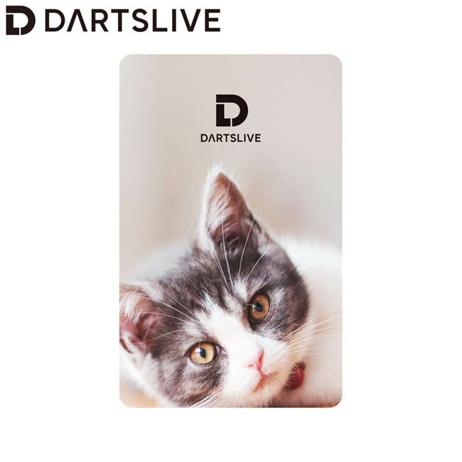DARTSLIVE CARD #057 ＜06＞　(ダーツ カード)