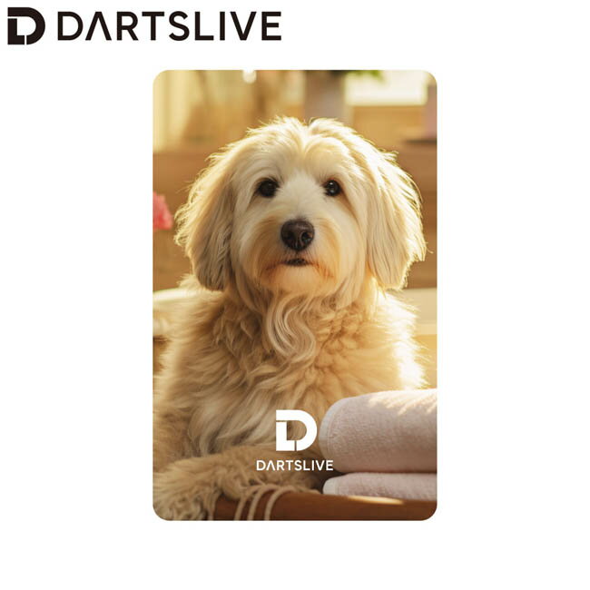 DARTSLIVE CARD #057 ＜07＞　(ダーツ カード)