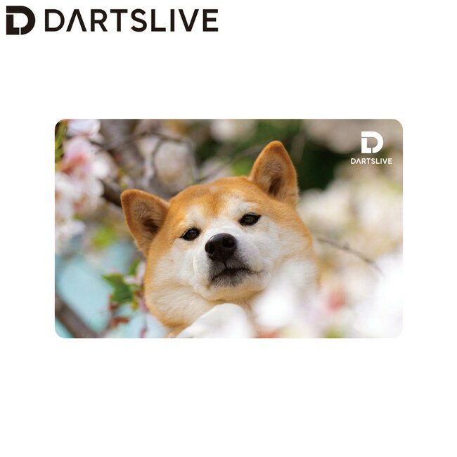 樂天商城 - DARTSLIVE CARD #060 ＜06＞　(ダーツ カード)