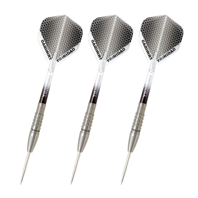 ダーツ専門店 カウントアップのTRiNiDAD PRO(トリニダード プロ) Carlos(カルロス) STEEL 竹本吉伸選手モデル　(ダーツ バレル ダーツセット)｜アングル2