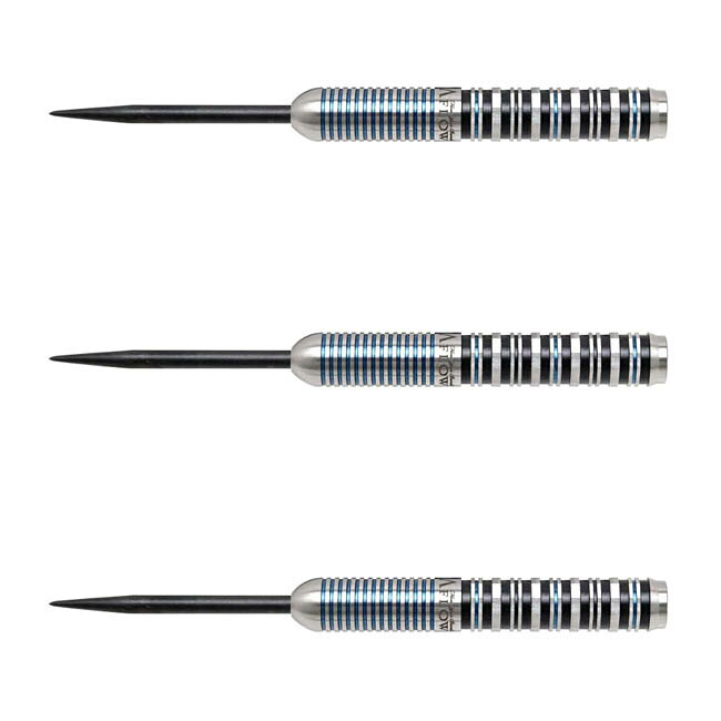 DYNASTY(ダイナスティー) A-FLOW CRYSTAL LINE DECAGON(デカゴン) STEEL (ダーツ バレル ダーツセット)