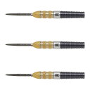 TARGET(ターゲット) RVB G4(ジェネレーション4) SWISS POINT STEEL 23g <190129> レイモンド・ヴァン・バーナベルド選...