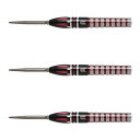 TARGET(ターゲット) NATHAN ASPINALL BLACK SWISS POINT STEEL 22g <190158> ネイサン・アスピナル選手モ...