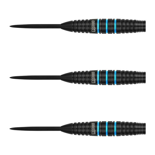 One80(ワンエイティ) Raise Bシリーズ AQ STEEL 21g　(ダーツ バレル ダーツセット)