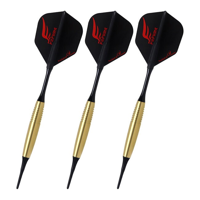 ダーツ専門店 カウントアップのCOSMO DARTS(コスモダーツ) DISCOVERY LABEL(ディスカバリーレーベル) Andrew Gilding 2BA アンドリュー・ギルディング選手モデル　(ダーツ バレル ダーツセット)｜アングル2