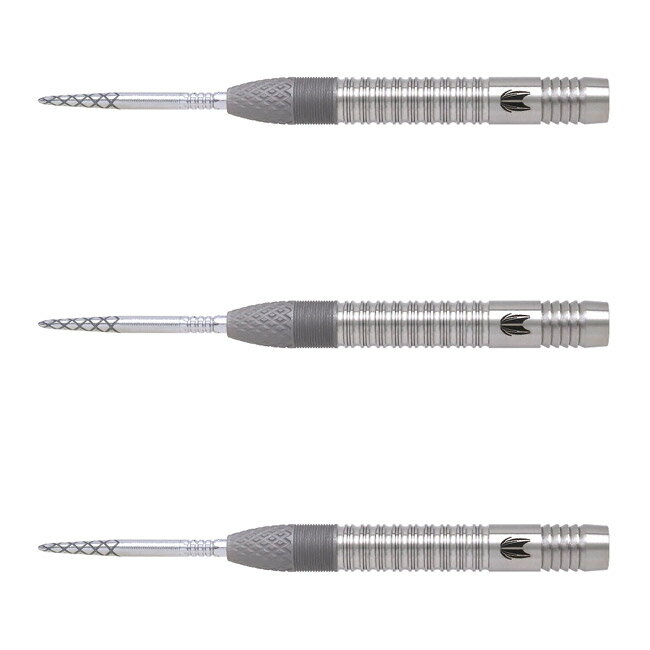 TARGET(ターゲット) DIMITRI VAN DEN BERGH G1 SWISS POINT STEEL 21g ＜190178＞ ディミトリ ヴァン デン バーグ選手モデル (ダーツ バレル ダーツセット)