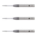 TARGET(ターゲット) DIMITRI VAN DEN BERGH G1 SWISS POINT STEEL 21g <190178> ディミトリ・ヴァン・...