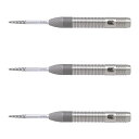 TARGET(ターゲット) DIMITRI VAN DEN BERGH G1 SWISS POINT STEEL 25g <190180> ディミトリ・ヴァン・...