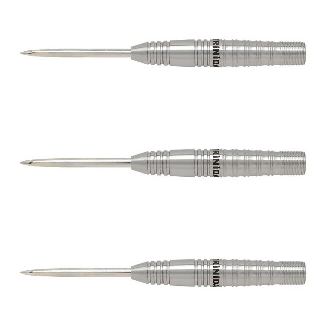 TRiNiDAD PRO(トリニダード プロ) Roman Type3(ローマン タイプ3) STEEL 宮脇実由選手モデル　(ダーツ ..
