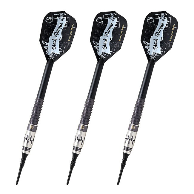 ダーツ専門店 カウントアップのTARGET JAPAN(ターゲットジャパン) BLACK MARQUE SERIES(ブラックマークシリーズ) WILD 2.0(ワイルド2.0) 2BA ＜210282＞ ジョー・ン選手モデル　(ダーツ バレル ダーツセット)｜アングル2