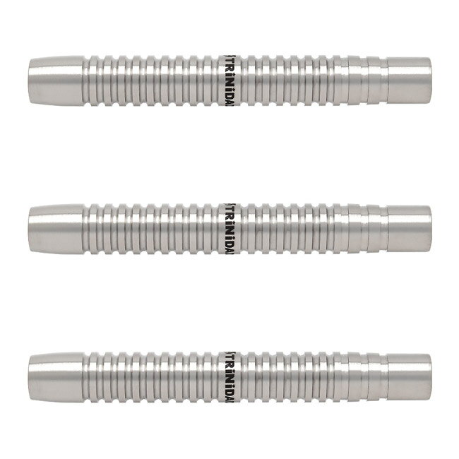 TRiNiDAD PRO(トリニダード プロ) SALDIVAR Type2(サルディバル タイプ2) 2BA 中西永吉選手モデル　(ダーツ バレル ダーツセット)