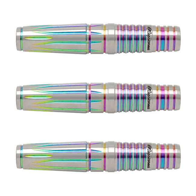 火の鳥 DARTS JAPAN(ヒノトリダーツジャパン) 十二星座シリーズ 90T Capricornus やぎ座 2BA　(ダーツ バレル ダーツセット)