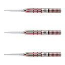 TARGET(ターゲット) NATHAN ASPINALL G2 SWISS POINT STEEL 24g <190256> ネイサン・アスピナル選手モデル ...