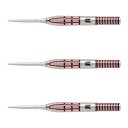 TARGET(ターゲット) NATHAN ASPINALL G2 SWISS POINT STEEL 26g <190257> ネイサン・アスピナル選手モデル ...