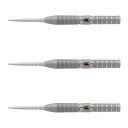 TARGET(ターゲット) GABRIEL CLEMENS G2 SWISS POINT STEEL 21g <190181> ガブリエル・クレメンス選手モデル...