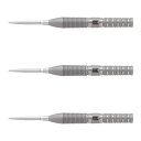 TARGET(ターゲット) GABRIEL CLEMENS G2 SWISS POINT STEEL 23g <190182> ガブリエル・クレメンス選手モデル...