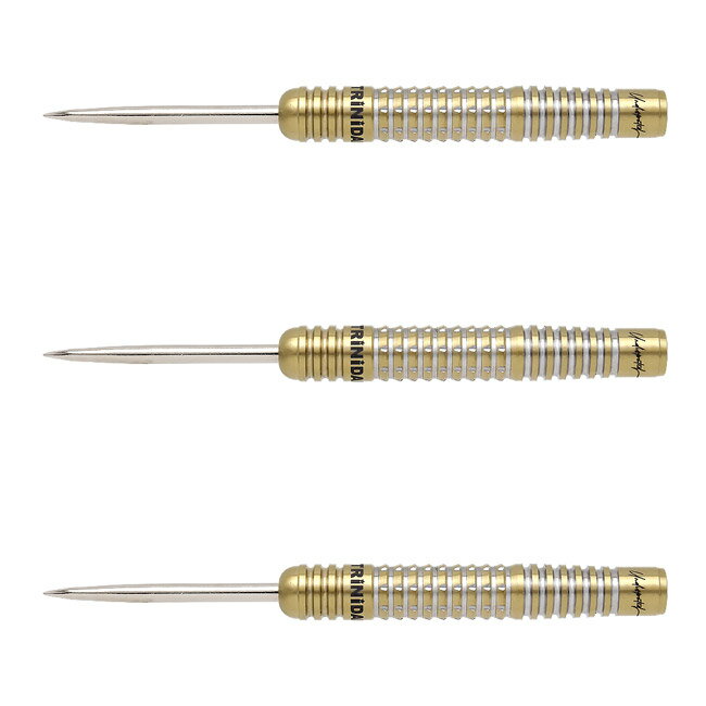 TRiNiDAD(トリニダード) Undisputed RICARDO(リカルド) STEEL 22g 浅田斉吾選手モデル　(ダーツ バレル ダーツセット)