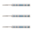 DYNASTY(ダイナスティー) A-FLOW Fallon80(ファロン80) Black label STEEL ファロン・シャーロック選手モデル (ダーツ バレル ダーツセット)